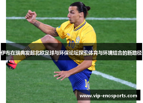 伊布在瑞典发起北欧足球与环保论坛探索体育与环境结合的新路径