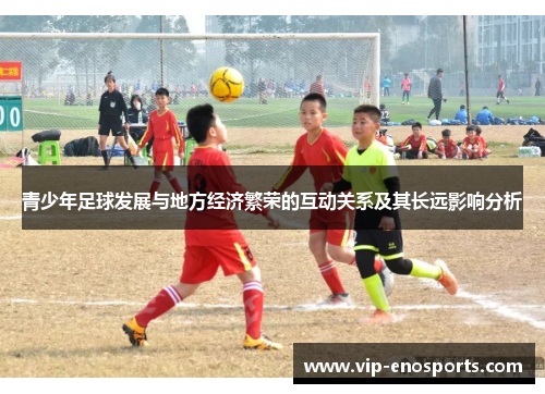 青少年足球发展与地方经济繁荣的互动关系及其长远影响分析