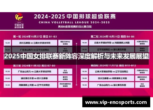 2025中国女排联赛新阵容深度解析与未来发展展望