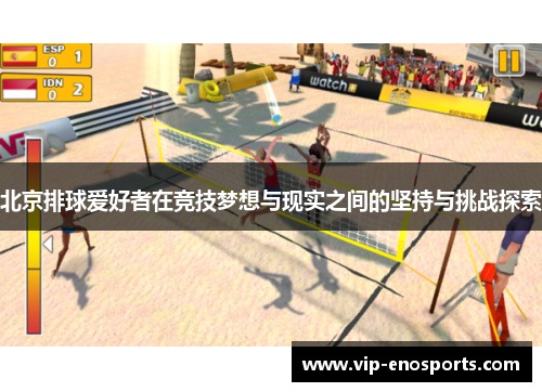 北京排球爱好者在竞技梦想与现实之间的坚持与挑战探索