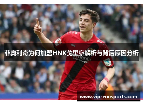 菲奥利奇为何加盟HNK戈里察解析与背后原因分析