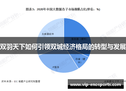 双羽天下如何引领双城经济格局的转型与发展