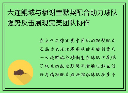 大连鲲城与穆谢奎默契配合助力球队强势反击展现完美团队协作