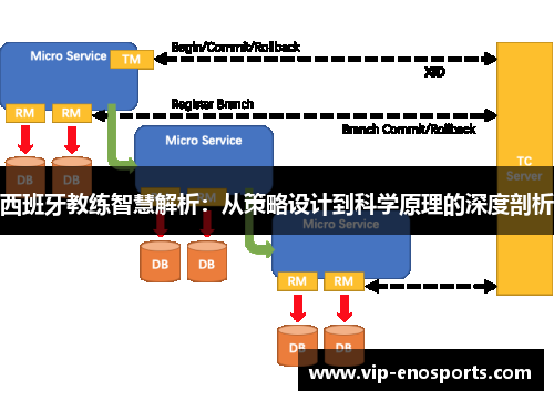 西班牙教练智慧解析：从策略设计到科学原理的深度剖析
