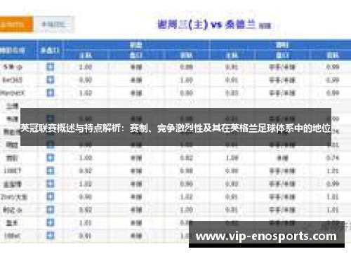 英冠联赛概述与特点解析：赛制、竞争激烈性及其在英格兰足球体系中的地位